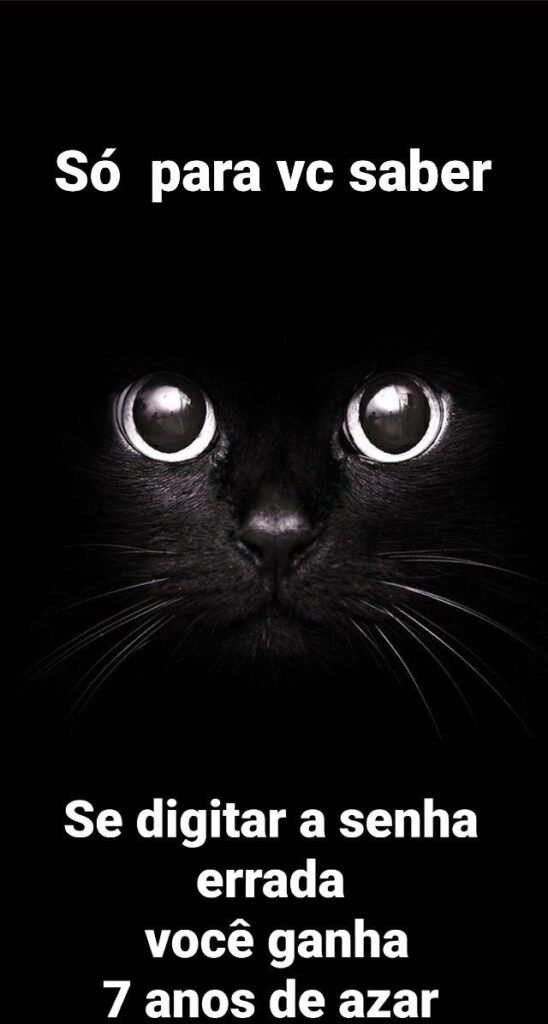 Papel de parede de gato preto engraçado para celular 