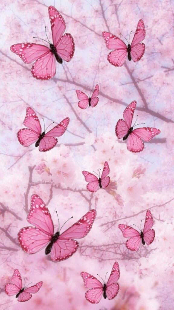 Papel de parede de borboletas rosas para celular 